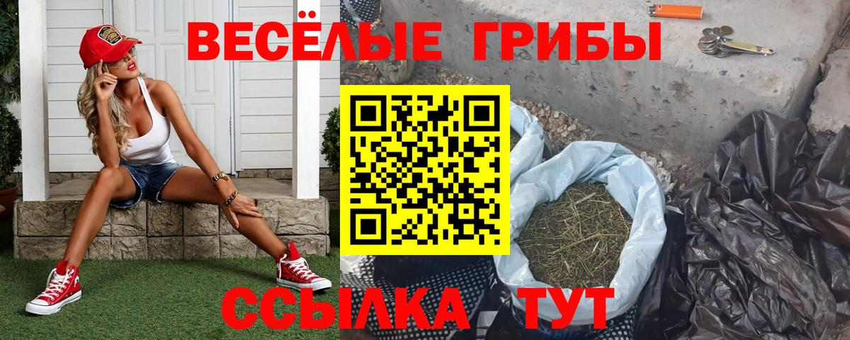 Мичуринск  Псилоцибиновые грибы Magic Shrooms  Галлюциногенные грибы Psilocybine cubensis  Вход с VPN 